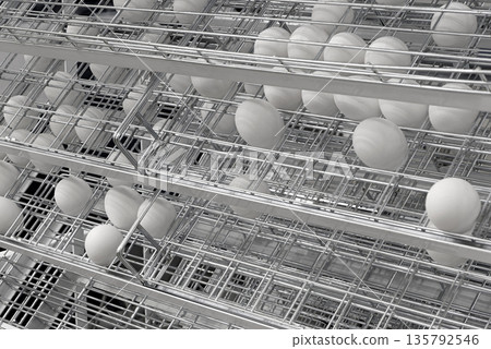Chicken eggs on a sorting line Chicken eggs on a sorting line 135792546