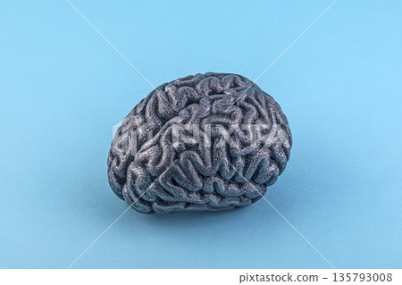 Human silver brain model isolated on blue background with clipping path 135793008