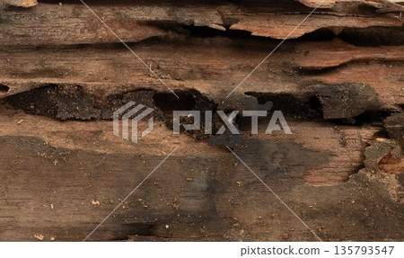Rotten wooden material Rotten wooden material 135793547