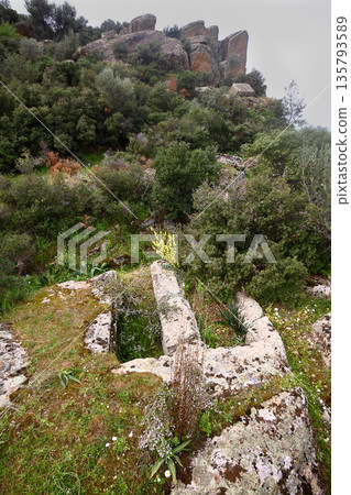Ruined walls of castle over the lake Bafa in a nature reserve situated in southwestern Turkey 135793589