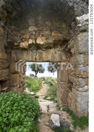 Ruined walls of castle over the lake Bafa in a nature reserve situated in southwestern Turkey 135793604