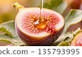 Golden honey pouring over a sliced ripe fig fruit in macro. 135793995