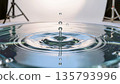 Single water drop falling on calm surface creating perfect concentric circles. 135793996