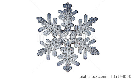 Intricate snowflake crystal with delicate branches and symmetrical design 135794008