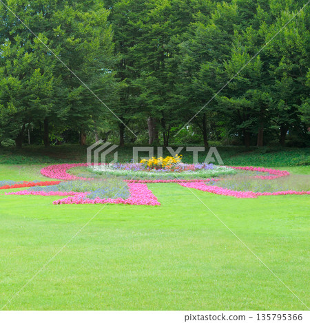 Beautiful Public Park Garden with Colorful Flower Bed 135795366