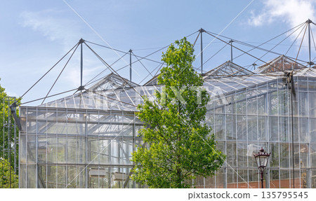 Botanical Greenhouse Amsterdam Botanical Greenhouse Amsterdam 135795545