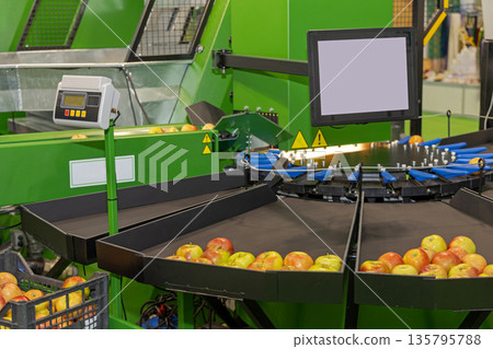 Fruits Sorting Machine 135795788