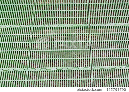 Green Plastic Farm Floor Green Plastic Farm Floor 135795790