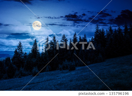 green slope of mountain range with coniferous forest at night. highland landscape under cloudy sky in summer full moon light. wonderful weather. backdrop for fiction art or mystery concept green slope of mountain range with coniferous forest at night. highland landscape under cloudy sky in summer full moon light. wonderful weather. backdrop for fiction art or mystery concept 135796196