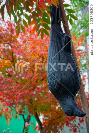 The Hanged Guardian in Autumn The Hanged Guardian in Autumn 135796309