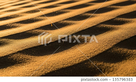 the bamboo shoot on the sand the bamboo shoot on the sand 135796383
