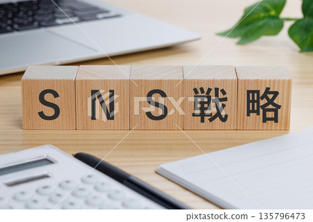 A block with the words "SNS Strategy" written on it on the table 135796473