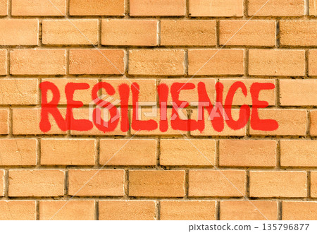 Resilience symbol. Concept word Resilience on beautiful big brown brick wall. Beautiful big brown brick wall background. Business resilience concept. Copy space. Resilience symbol. Concept word Resilience on beautiful big brown brick wall. Beautiful big brown brick wall background. Business resilience concept. Copy space. 135796877