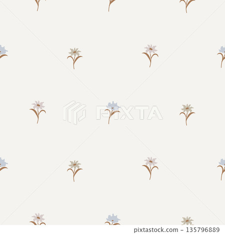 Flower pattern cream blue muted minimalist background with meadow flowers. Farmhouse neutral backdrop Flower pattern cream blue muted minimalist background with meadow flowers. Farmhouse neutral backdrop 135796889