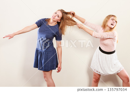 Aggressive mad women fighting each other. Aggressive mad women fighting each other. 135797034
