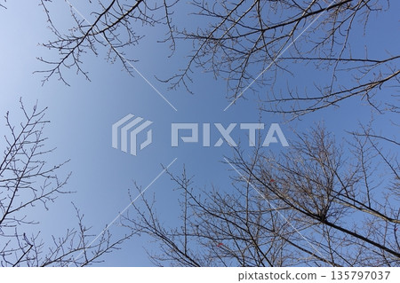 冬季形象:也可用於經濟衰退時期 冬季形象:也可用於經濟衰退時期 135797037