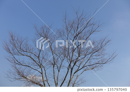 冬季形象：也可用於經濟衰退時期 135797040