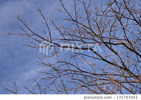 Winter image: Can also be used during recessions Winter image: Can also be used during recessions 135797041