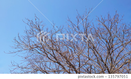 冬季形象:也可用於經濟衰退時期 冬季形象:也可用於經濟衰退時期 135797051