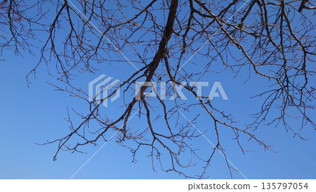 Winter image: Can also be used during recessions 135797054