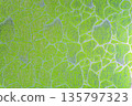 Grass green textile surface with silver mosaic stone pattern 135797323