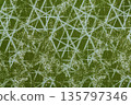 Olive green textile with white geometric line pattern 135797346