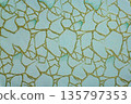 Teal and emerald textile texture with golden mosaic pattern 135797353