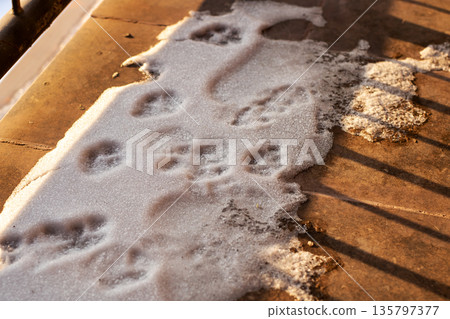 Sunlit water meets aged wood, Capturing intricate patterns of surf and sand on seaside pier Sunlit water meets aged wood, Capturing intricate patterns of surf and sand on seaside pier 135797377