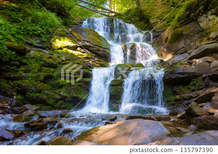 waterfall in the forest on a summer morning. rocks with moss in dappled light. refreshing nature scenery waterfall in the forest on a summer morning. rocks with moss in dappled light. refreshing nature scenery 135797390