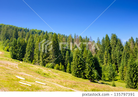 mountain landscape with forest on the hill and trail path uphill in summer. beautiful travel background of ukrainian carpathians on a sunny day under blue sky mountain landscape with forest on the hill and trail path uphill in summer. beautiful travel background of ukrainian carpathians on a sunny day under blue sky 135797391