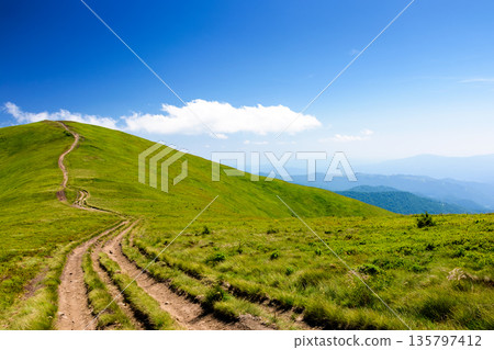 mountain trail to the top of the summit. summer travel landscape under deep blue sky with fluffy clouds. sunny weather. borzhava ridge of transcarpathia, ukraine mountain trail to the top of the summit. summer travel landscape under deep blue sky with fluffy clouds. sunny weather. borzhava ridge of transcarpathia, ukraine 135797412