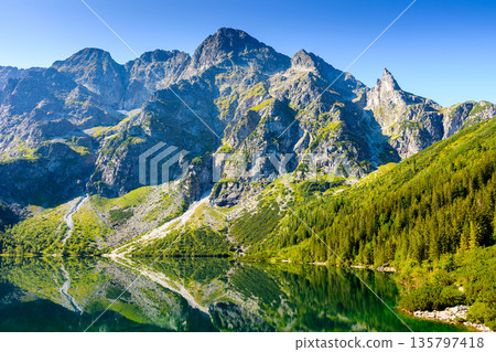 alpine landscape with lake in summer. beautiful poland nature in high tatra mountains for travel. blue sky. scenery reflection in transparent pond water alpine landscape with lake in summer. beautiful poland nature in high tatra mountains for travel. blue sky. scenery reflection in transparent pond water 135797418