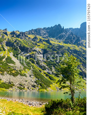 alpine landscape with lake in summer. beautiful poland nature in high tatra mountains for travel. blue sky above czarny staw pond alpine landscape with lake in summer. beautiful poland nature in high tatra mountains for travel. blue sky above czarny staw pond 135797420