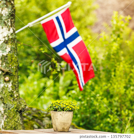 norwegian flag and green picnic site norwegian flag and green picnic site 135797702