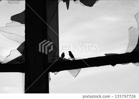 Bird silhouettes on broken window in abandoned building, black and white 135797726