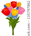 Bouquet With Red, Yellow, Pink Tulips And Blue Hyacinths 135797862