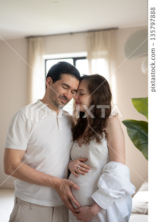 Loving couple caressing pregnant belly at home 135797888