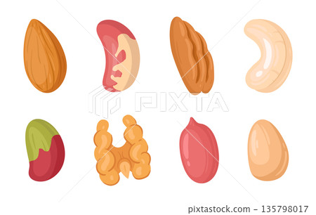 Shelled nuts. Tasty nutritious cashew, almond and walnut nuts, organic snack food flat vector illustration set. Cartoon nuts on white background 135798017
