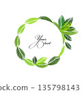 Elegant round frame made of green leaves. Hand drawn. Not AI, vector illustration. 135798143