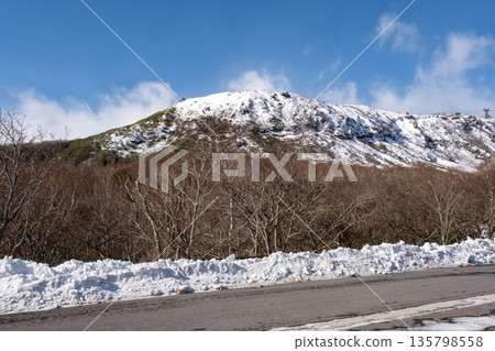 那須山的冬季景色 135798558