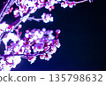 Plum blossoms blooming at night 135798632