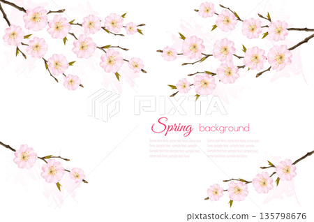 Spring nature background with sakura branch. Vector 135798676