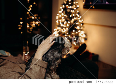Cozy Christmas evening at home with a woman relaxing on a sofa, holding a small dog, a glass of champagne nearby. Warm festive lights, Christmas tree bokeh, hygge lifestyle and winter holidays comfort 135798888