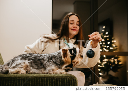 Playful Christmas lifestyle scene at home - a young woman playing with a lovable small yorkie dog in cozy modern interior with festive lights, pet-friendly holiday trend and warm winter mood scene. 135799055