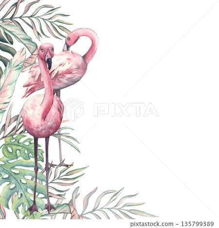 Watercolor frame of pink flamingo and palm branches with space for text. Corner frame with flamingo in leaves. Exotic African birds. Tropical template for design of cards and invitation Watercolor frame of pink flamingo and palm branches with space for text. Corner frame with flamingo in leaves. Exotic African birds. Tropical template for design of cards and invitation 135799389