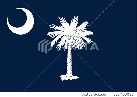 South Carolina official state flag. Part of The United States of America. Clean design for print, web, or educational use. Vector illustration. South Carolina official state flag. Part of The United States of America. Clean design for print, web, or educational use. Vector illustration. 135799855