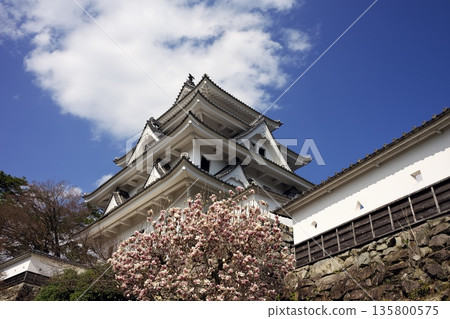 Spring Borough Castle 135800575