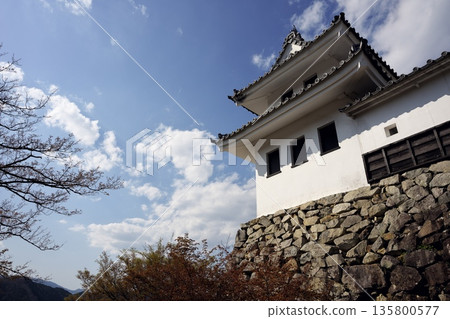 Spring Borough Castle 135800577