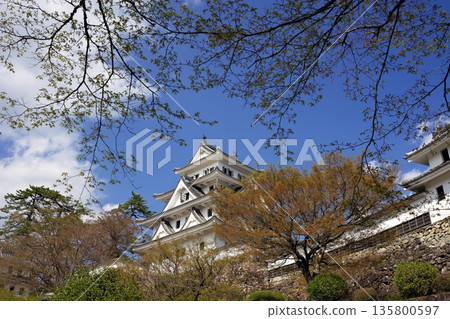 春天自治市鎮 135800597