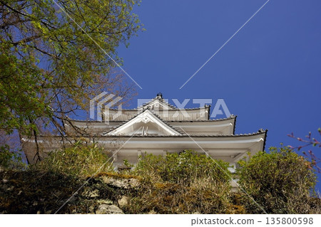 春天自治市鎮 135800598